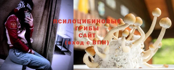 ГАЛЛЮЦИНОГЕННЫЕ ГРИБЫ Балахна