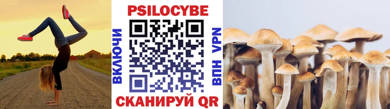 Купить  Мценск  Псилоцибиновые грибы Psilocybe 